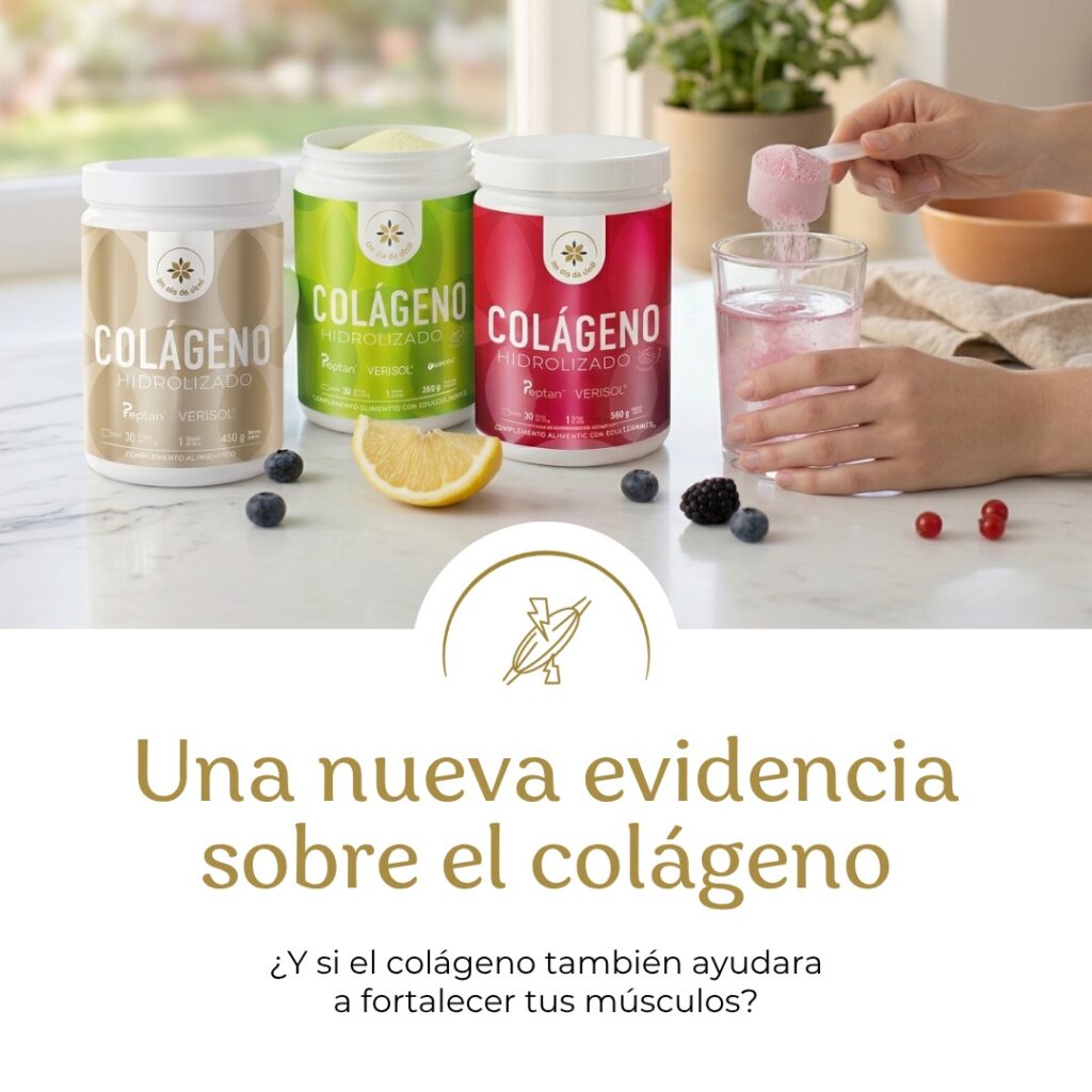 colágeno y masa muscular