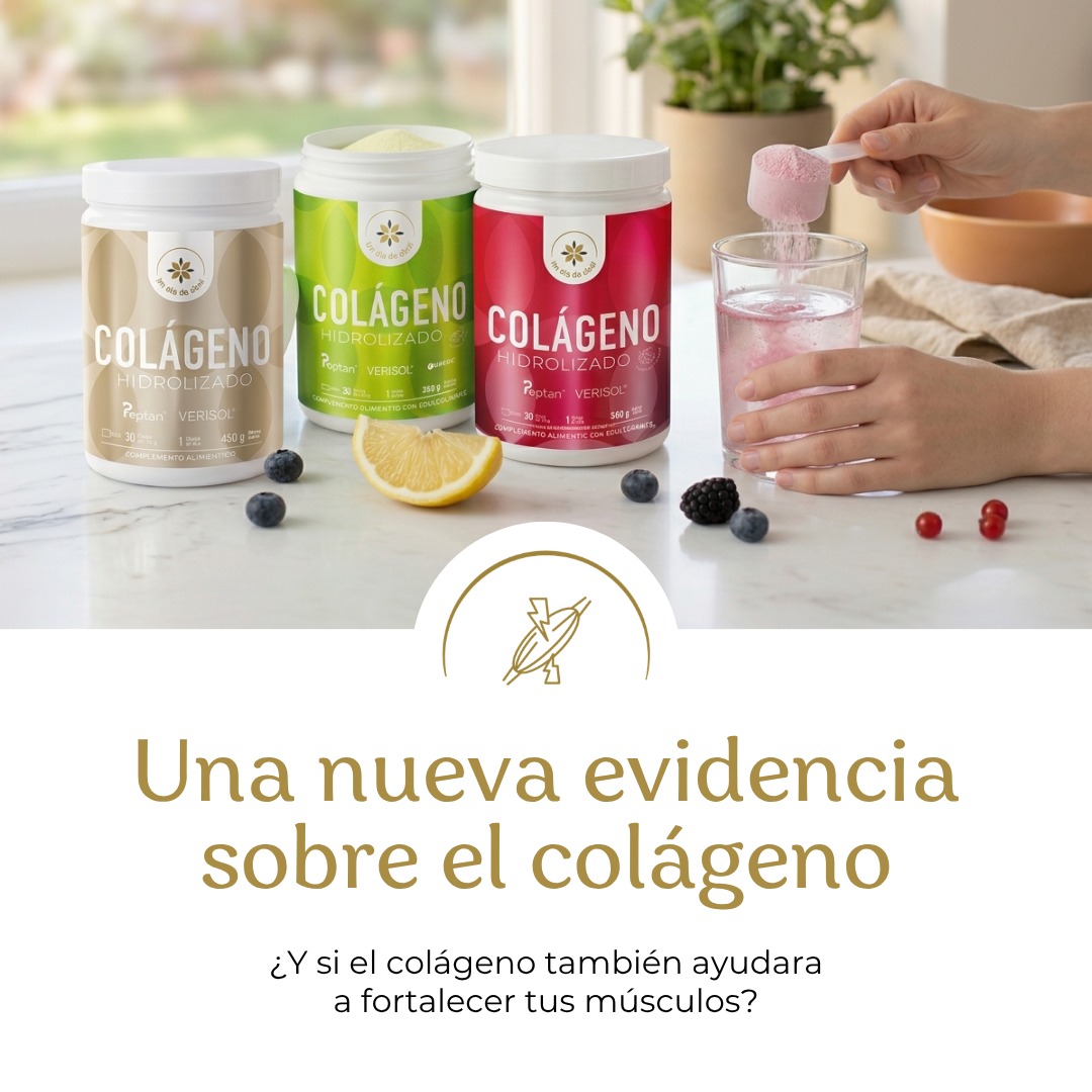 colágeno y masa muscular